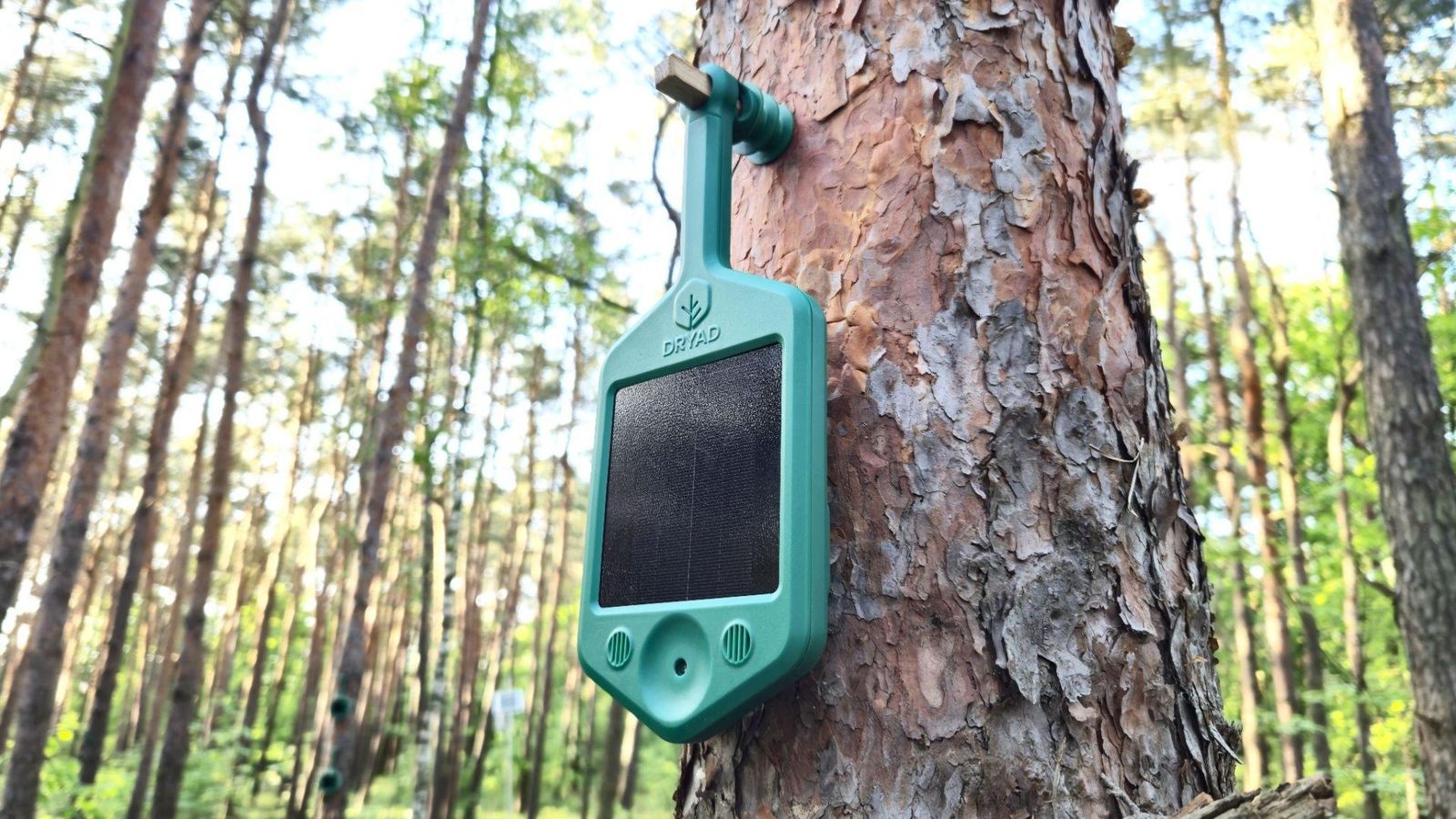 Gen-4-Pro Silvanet Wildfire Sensor mounted on a pine tree in a forest