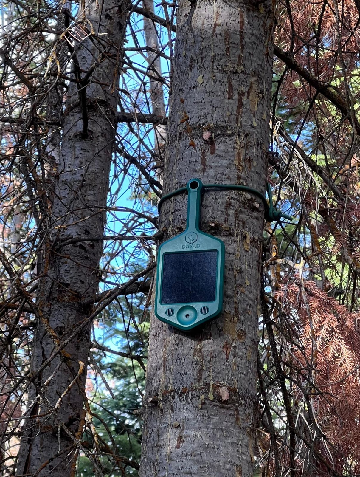 Gen-4-Pro Silvanet Wildfire Sensor — front product view